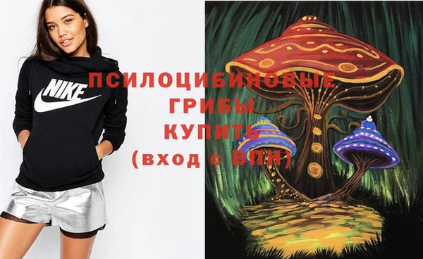 прущие крисы Каменск-Шахтинский